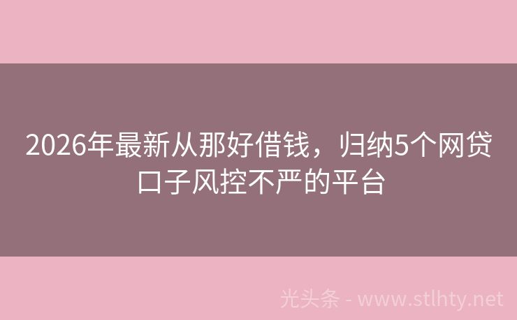 2026年最新从那好借钱,归纳5个网贷口子风控不严的平台