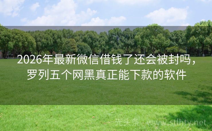 2026年最新微信借钱了还会被封吗,罗列五个网黑真正能下款的软件