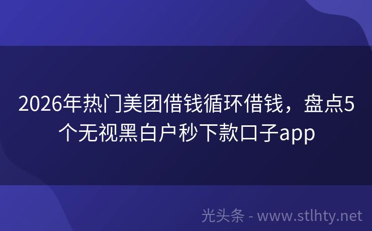 2026年热门美团借钱循环借钱，盘点5个无视黑白户秒下款口子app