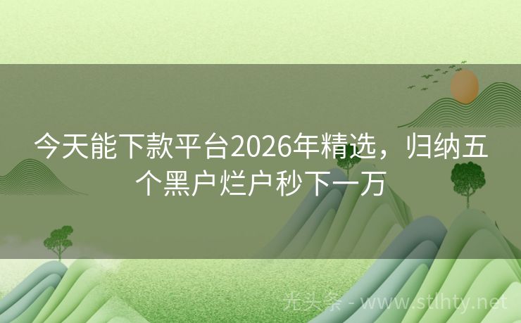 今天能下款平台2026年精选，归纳五个黑户烂户秒下一万