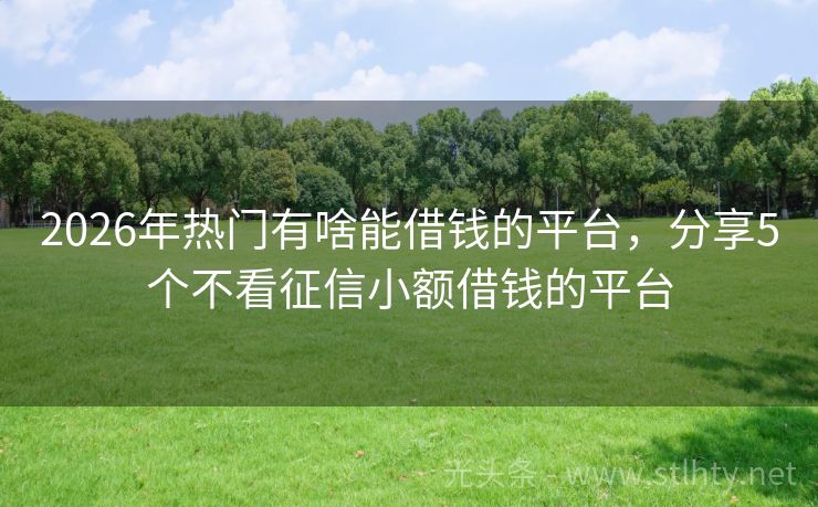 2026年热门有啥能借钱的平台，分享5个不看征信小额借钱的平台