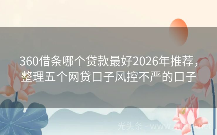 360借条哪个贷款最好2026年推荐，整理五个网贷口子风控不严的口子