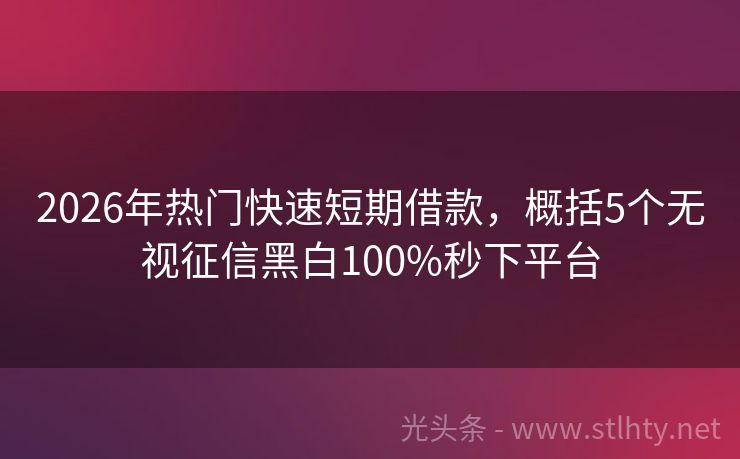 2026年热门快速短期借款，概括5个无视征信黑白100%秒下平台