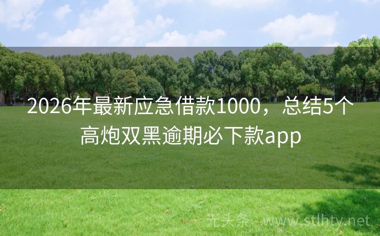 2026年最新应急借款1000，总结5个高炮双黑逾期必下款app