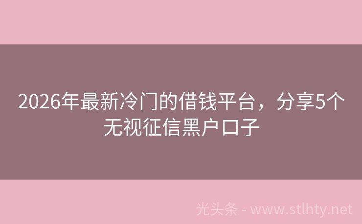 2026年最新冷门的借钱平台，分享5个无视征信黑户口子