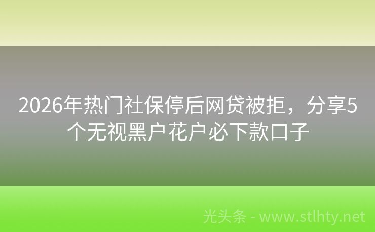 2026年热门社保停后网贷被拒，分享5个无视黑户花户必下款口子