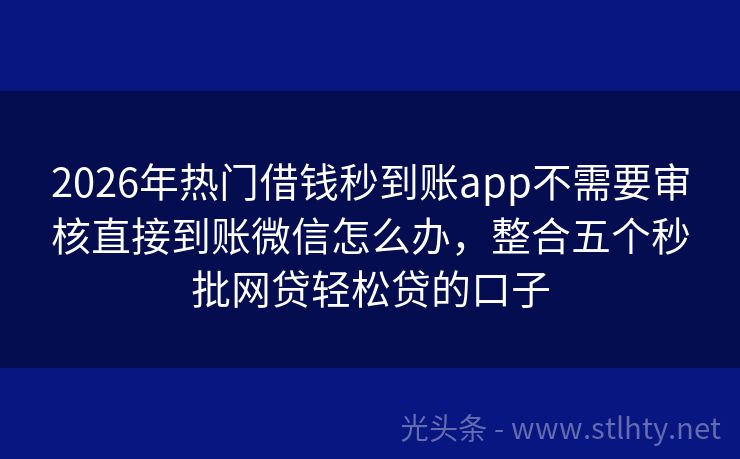 2026年热门借钱秒到账app不需要审核直接到账微信怎么办，整合五个秒批网贷轻松贷的口子