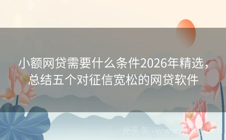 小额网贷需要什么条件2026年精选，总结五个对征信宽松的网贷软件