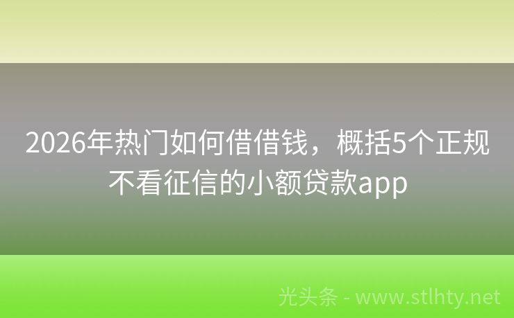 2026年热门如何借借钱，概括5个正规不看征信的小额贷款app