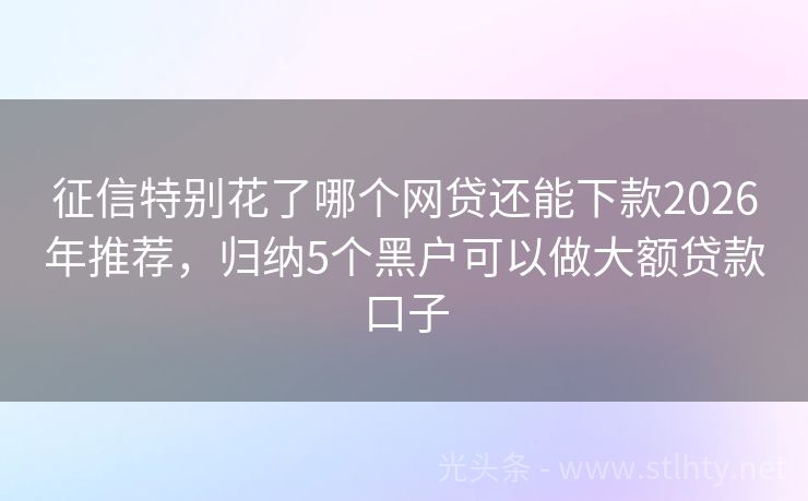 征信特别花了哪个网贷还能下款2026年推荐，归纳5个黑户可以做大额贷款口子