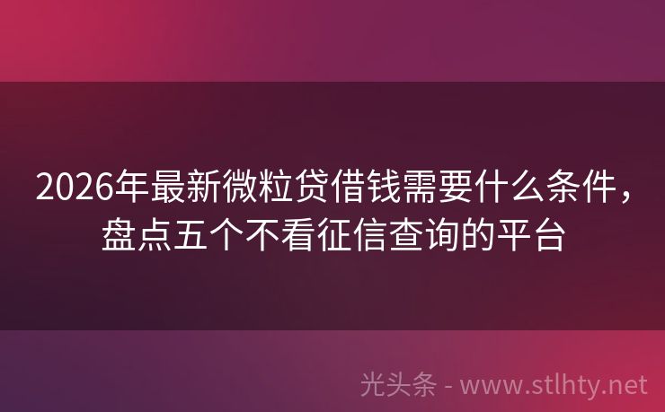 2026年最新微粒贷借钱需要什么条件，盘点五个不看征信查询的平台