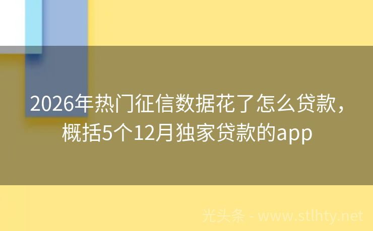 2026年热门征信数据花了怎么贷款，概括5个12月独家贷款的app