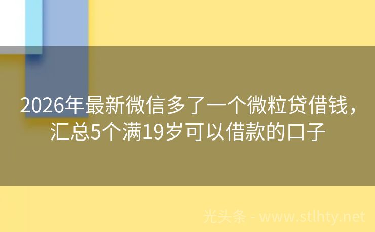 2026年最新微信多了一个微粒贷借钱，汇总5个满19岁可以借款的口子