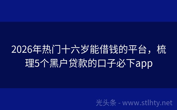 2026年热门十六岁能借钱的平台，梳理5个黑户贷款的口子必下app