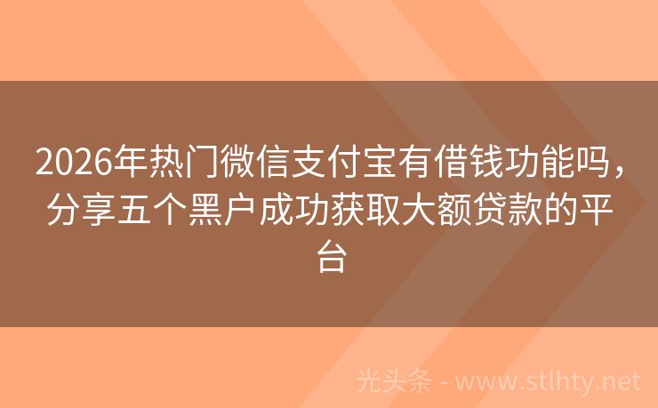 2026年热门微信支付宝有借钱功能吗，分享五个黑户成功获取大额贷款的平台
