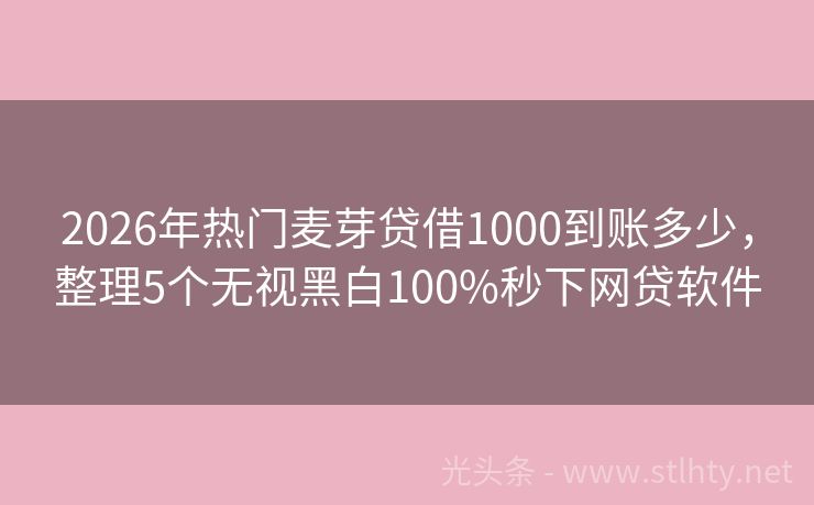 2026年热门麦芽贷借1000到账多少，整理5个无视黑白100%秒下网贷软件