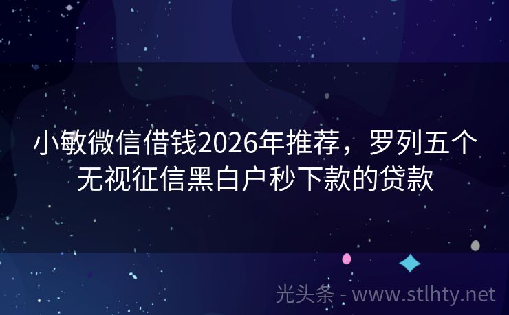 小敏微信借钱2026年推荐，罗列五个无视征信黑白户秒下款的贷款