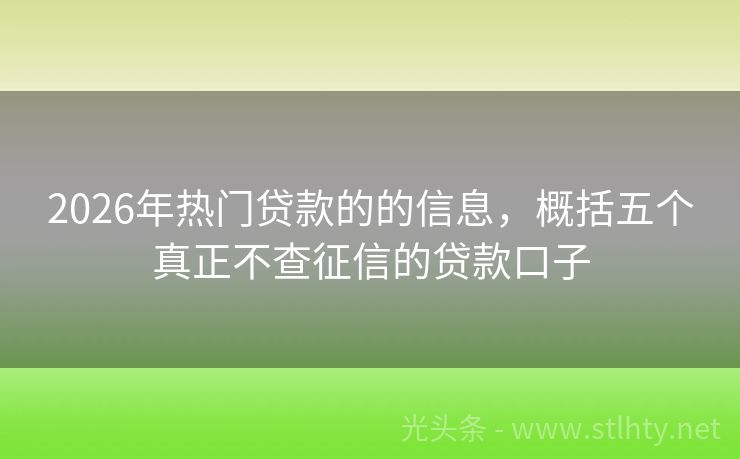 2026年热门贷款的的信息，概括五个真正不查征信的贷款口子