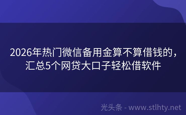 2026年热门微信备用金算不算借钱的，汇总5个网贷大口子轻松借软件