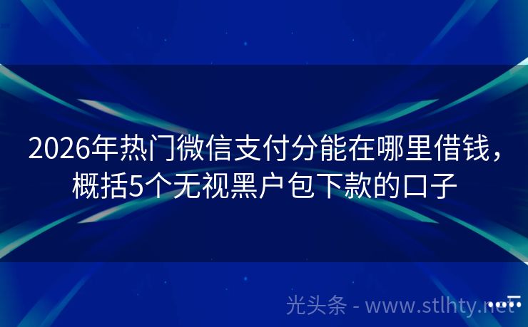 2026年热门微信支付分能在哪里借钱，概括5个无视黑户包下款的口子
