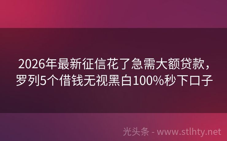 2026年最新征信花了急需大额贷款，罗列5个借钱无视黑白100%秒下口子