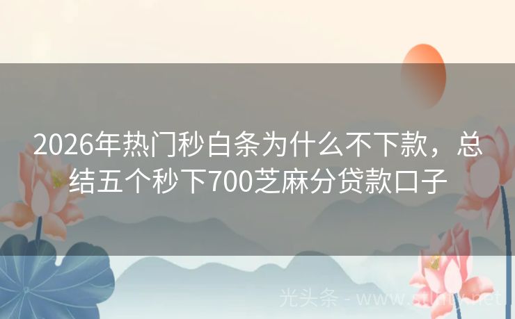 2026年热门秒白条为什么不下款，总结五个秒下700芝麻分贷款口子