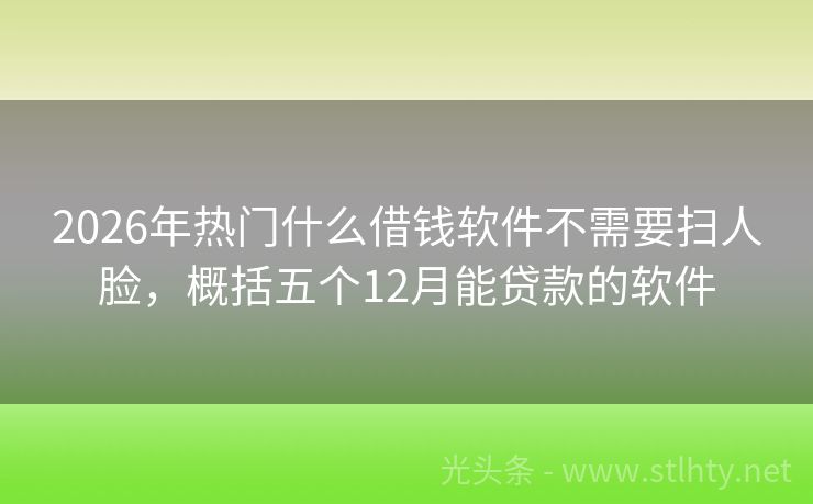 2026年热门什么借钱软件不需要扫人脸，概括五个12月能贷款的软件