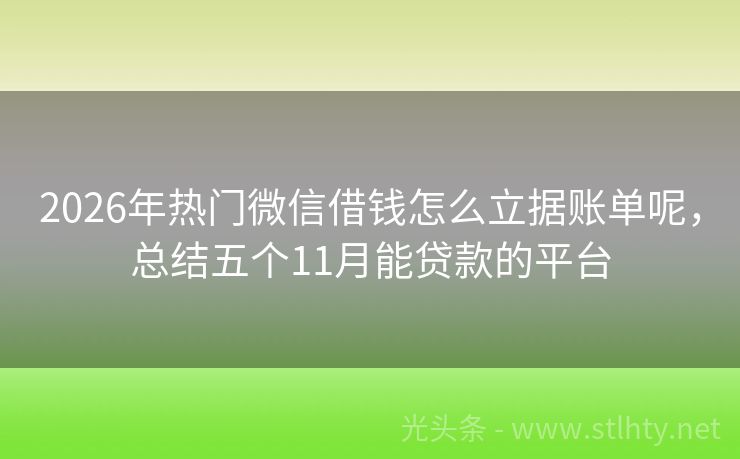 2026年热门微信借钱怎么立据账单呢，总结五个11月能贷款的平台