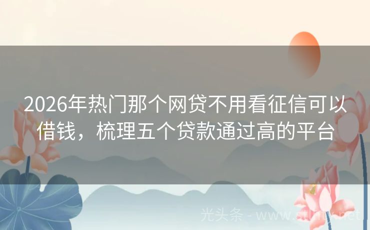 2026年热门那个网贷不用看征信可以借钱，梳理五个贷款通过高的平台