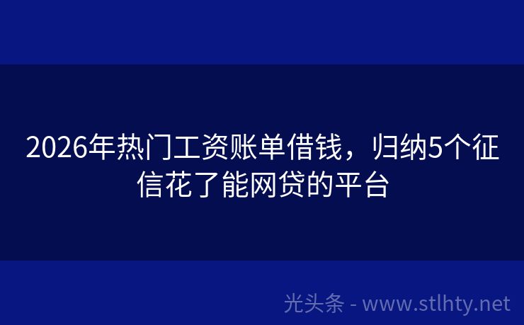 2026年热门工资账单借钱，归纳5个征信花了能网贷的平台