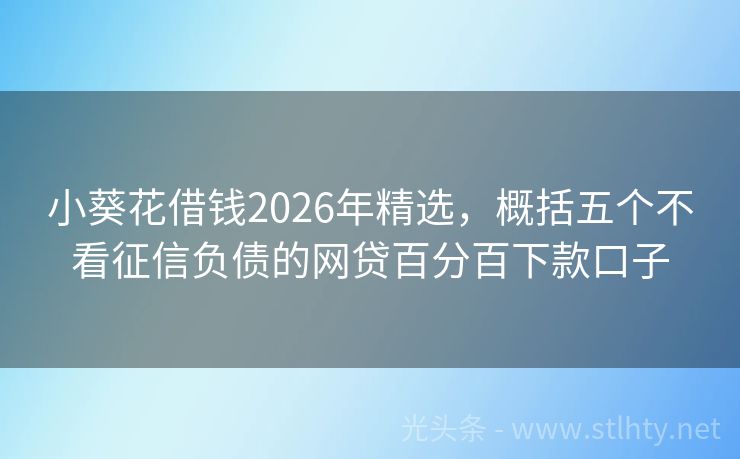 小葵花借钱2026年精选，概括五个不看征信负债的网贷百分百下款口子
