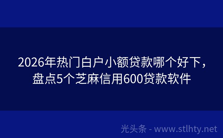 2026年热门白户小额贷款哪个好下，盘点5个芝麻信用600贷款软件