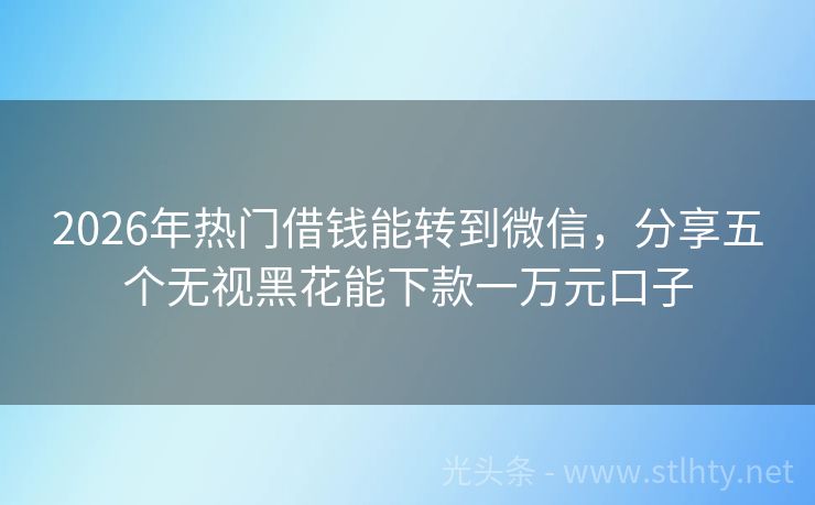 2026年热门借钱能转到微信，分享五个无视黑花能下款一万元口子