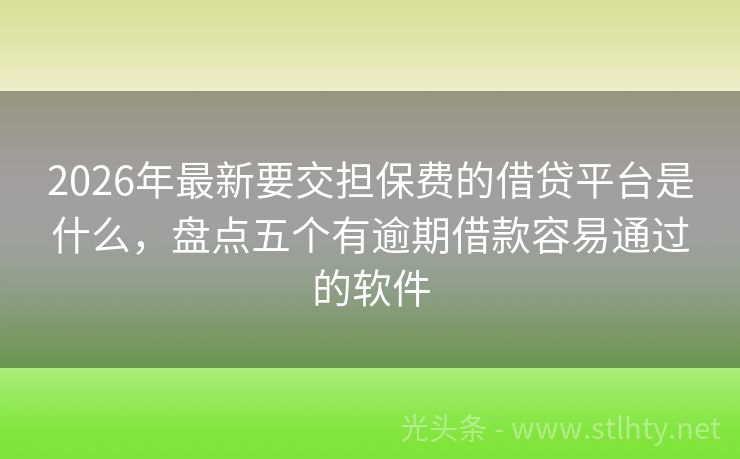 2026年最新要交担保费的借贷平台是什么，盘点五个有逾期借款容易通过的软件