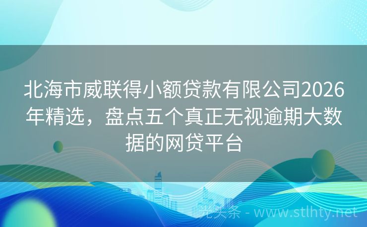北海市威联得小额贷款有限公司2026年精选，盘点五个真正无视逾期大数据的网贷平台