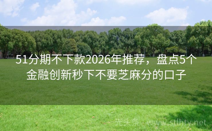 51分期不下款2026年推荐，盘点5个金融创新秒下不要芝麻分的口子