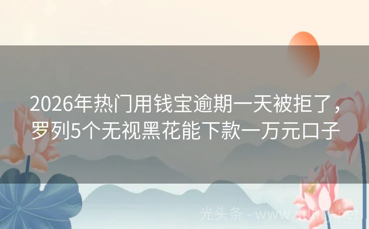 2026年热门用钱宝逾期一天被拒了，罗列5个无视黑花能下款一万元口子