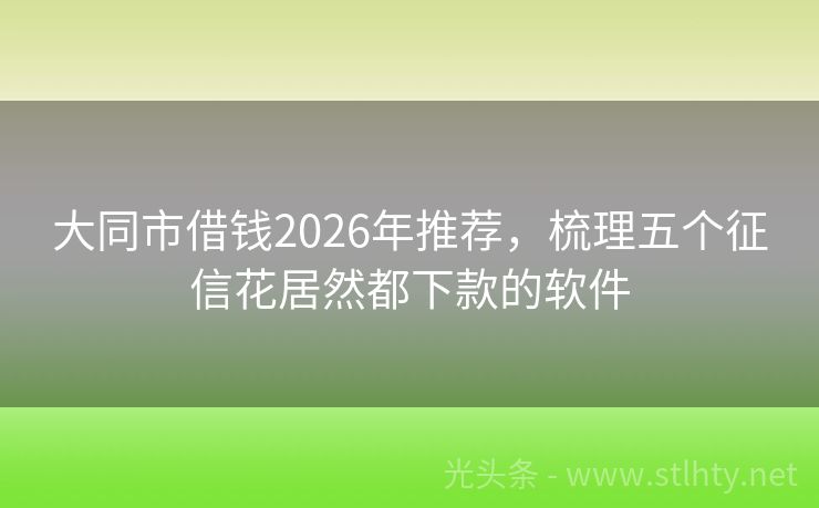 大同市借钱2026年推荐，梳理五个征信花居然都下款的软件