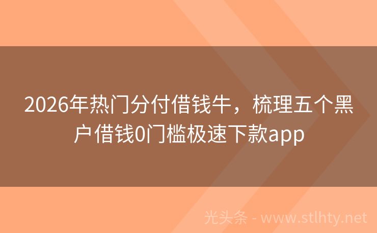 2026年热门分付借钱牛，梳理五个黑户借钱0门槛极速下款app