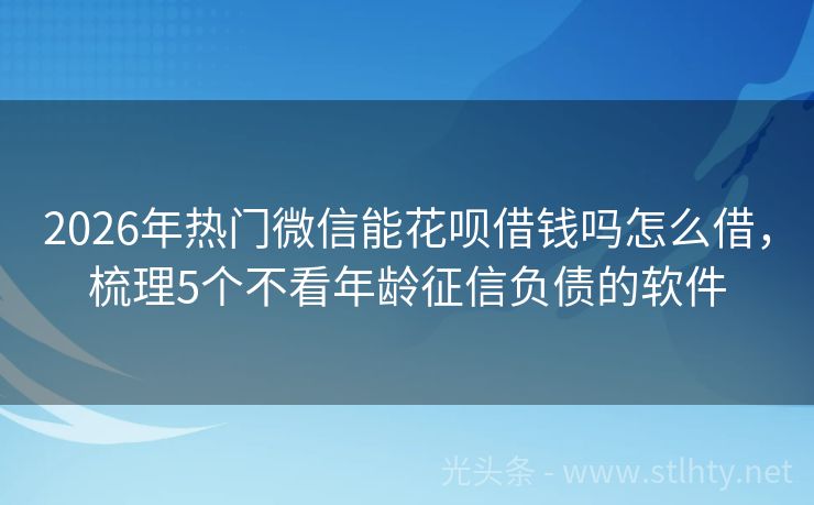 2026年热门微信能花呗借钱吗怎么借，梳理5个不看年龄征信负债的软件