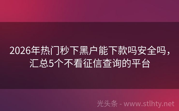 2026年热门秒下黑户能下款吗安全吗，汇总5个不看征信查询的平台