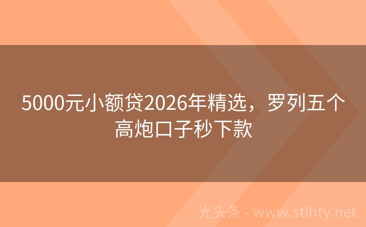 5000元小额贷2026年精选，罗列五个高炮口子秒下款