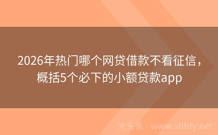2026年热门哪个网贷借款不看征信，概括5个必下的小额贷款app