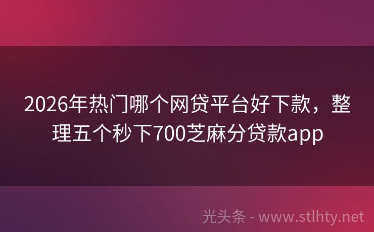 2026年热门哪个网贷平台好下款，整理五个秒下700芝麻分贷款app