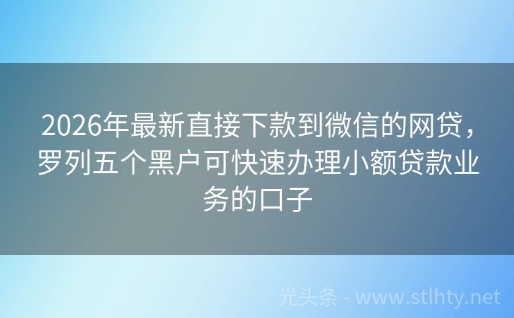 2026年最新直接下款到微信的网贷，罗列五个黑户可快速办理小额贷款业务的口子