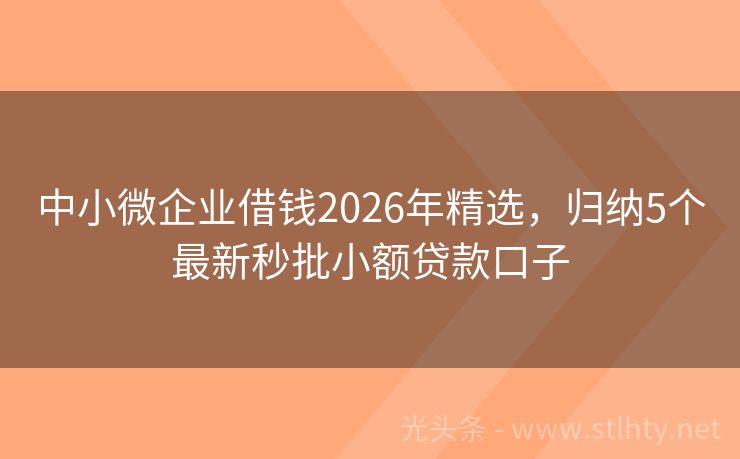 中小微企业借钱2026年精选，归纳5个最新秒批小额贷款口子