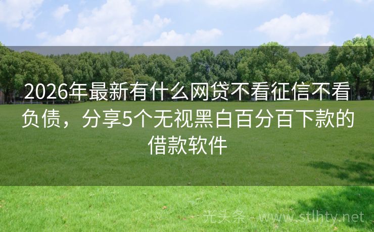2026年最新有什么网贷不看征信不看负债，分享5个无视黑白百分百下款的借款软件