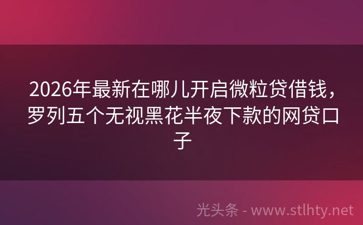 2026年最新在哪儿开启微粒贷借钱，罗列五个无视黑花半夜下款的网贷口子