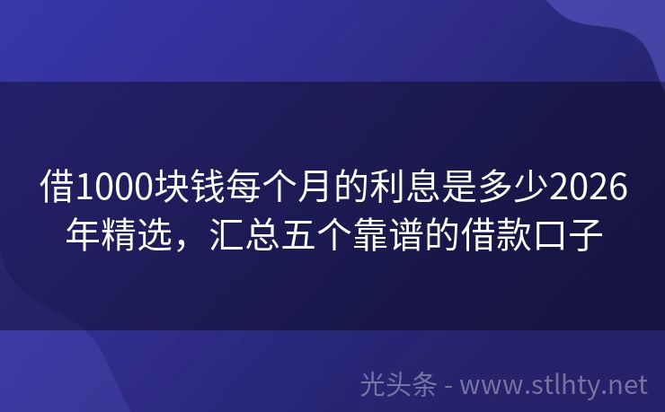 借1000块钱每个月的利息是多少2026年精选，汇总五个靠谱的借款口子