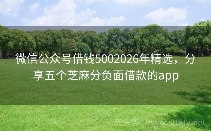 微信公众号借钱5002026年精选，分享五个芝麻分负面借款的app